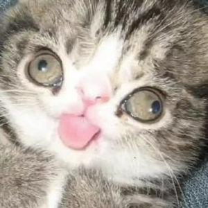 Meet your Posher, Katrina